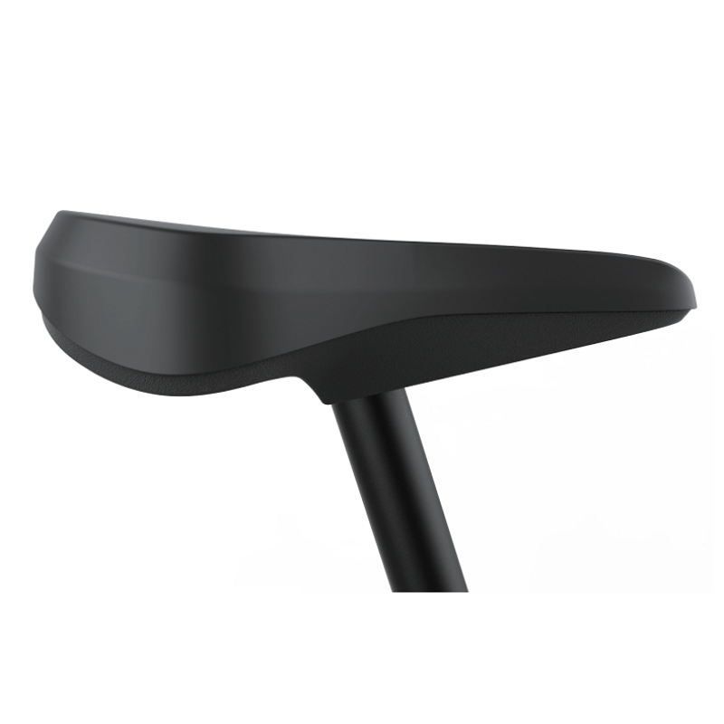 saddle